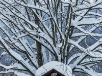 Kruzifix unter verschneitem Baum